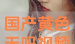 国产桃色视频,网络色情内容的暗流涌动