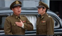 国产谍战剧,国产谍战剧中的智慧与忠诚